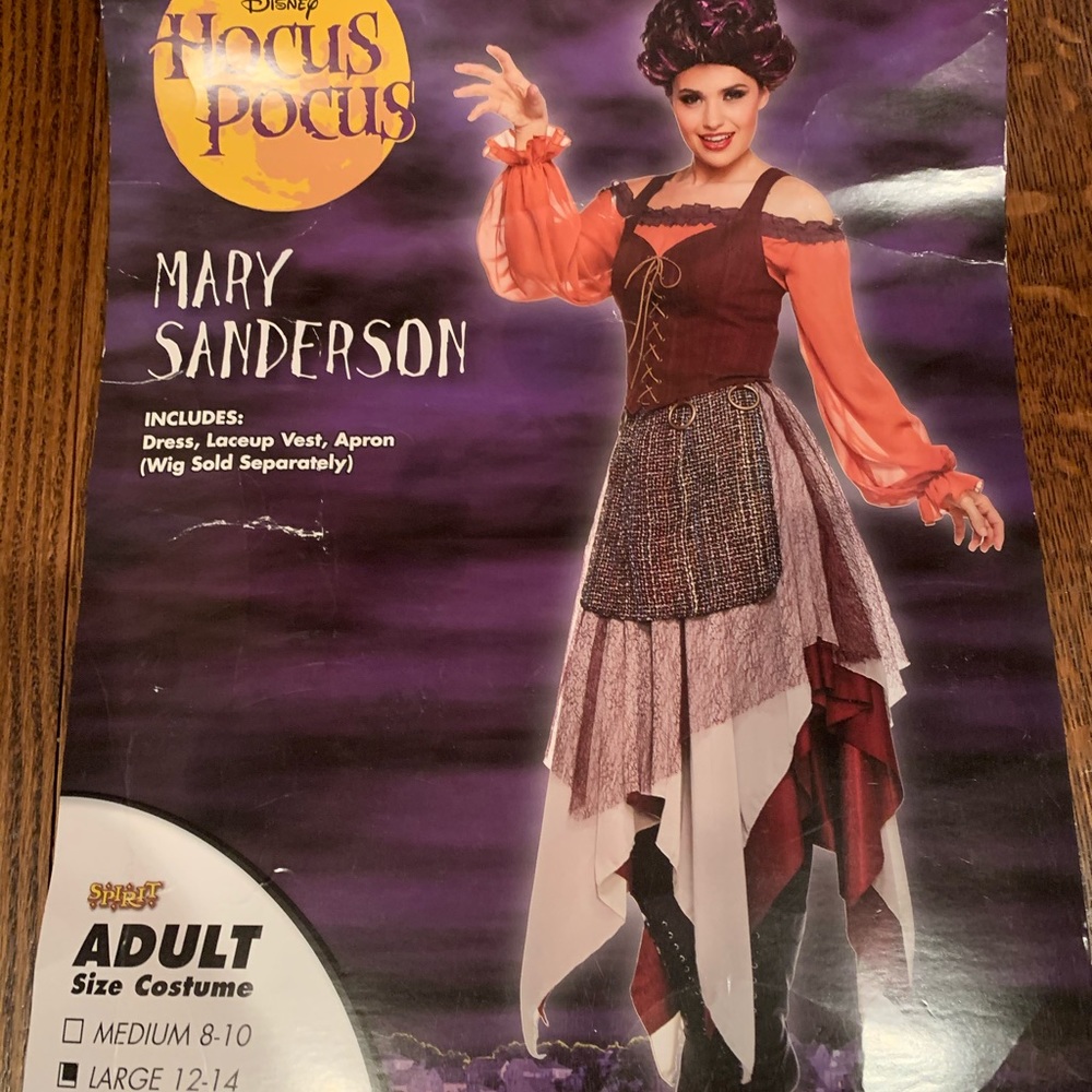 Hocus Pocus Mary Sanderson Halloween Costume-Large